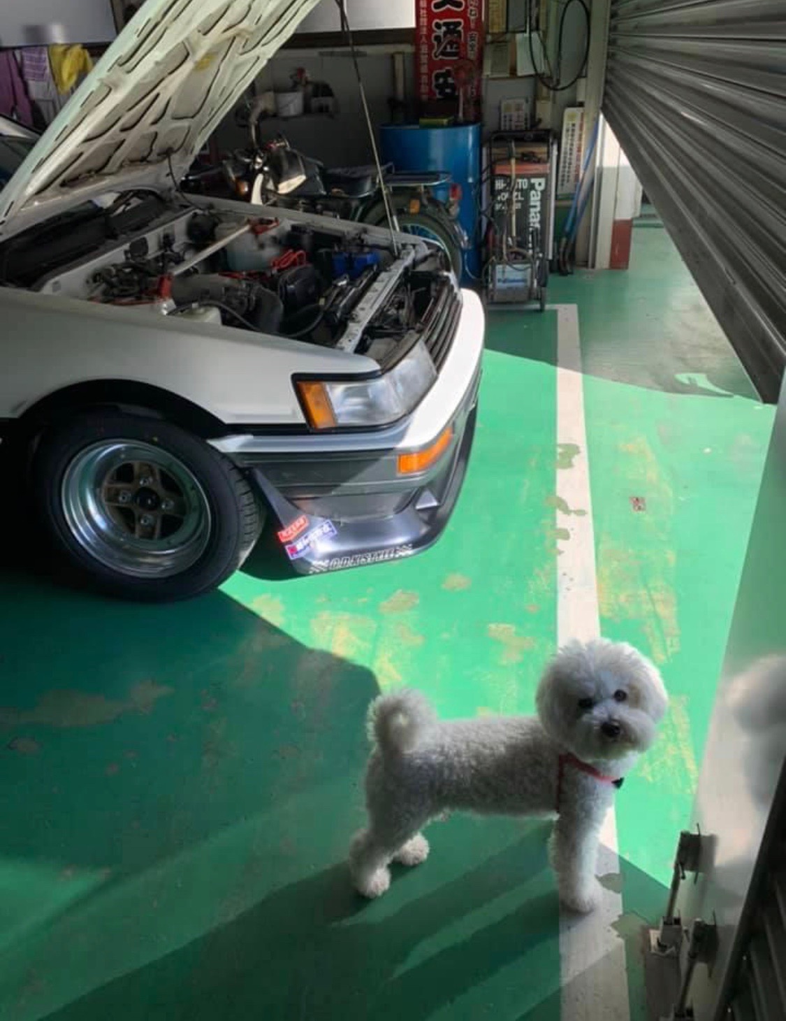 ニコちゃん
